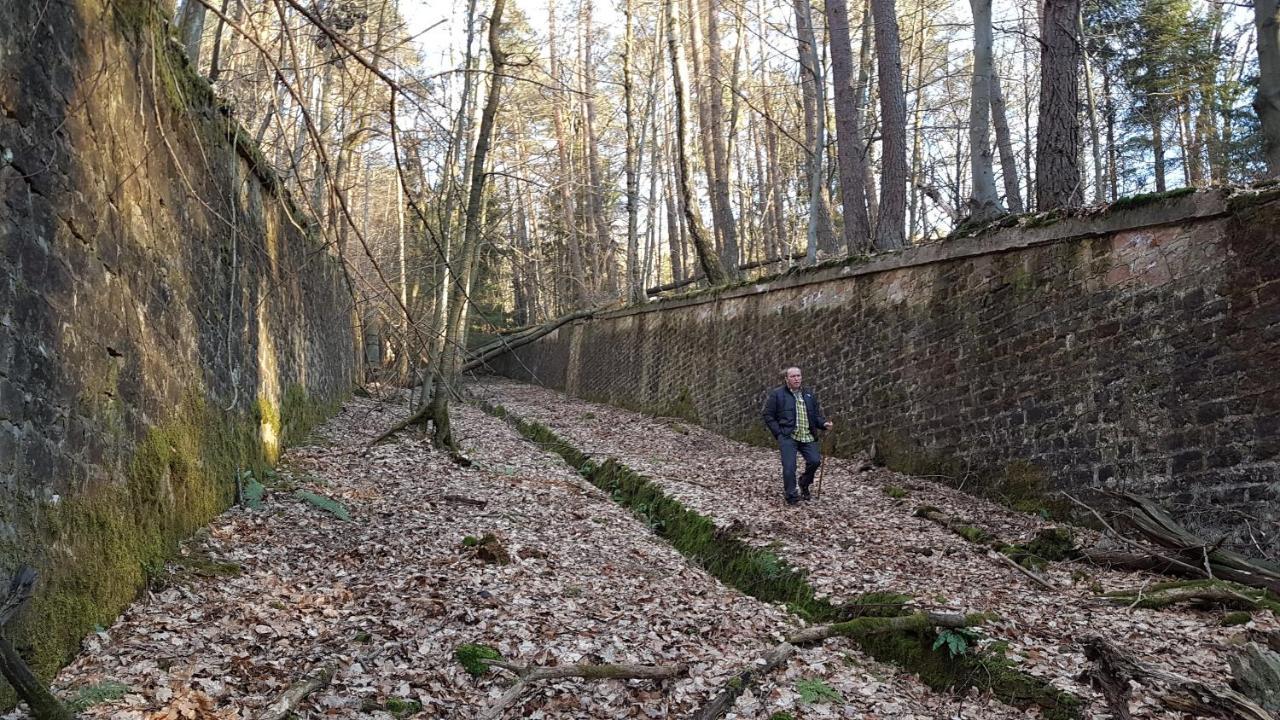 Chambre avec grand lit Soultz-sous-Forets Extérieur photo